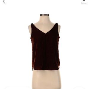 Ann Taylor LOFT Velvet V-Neck Top